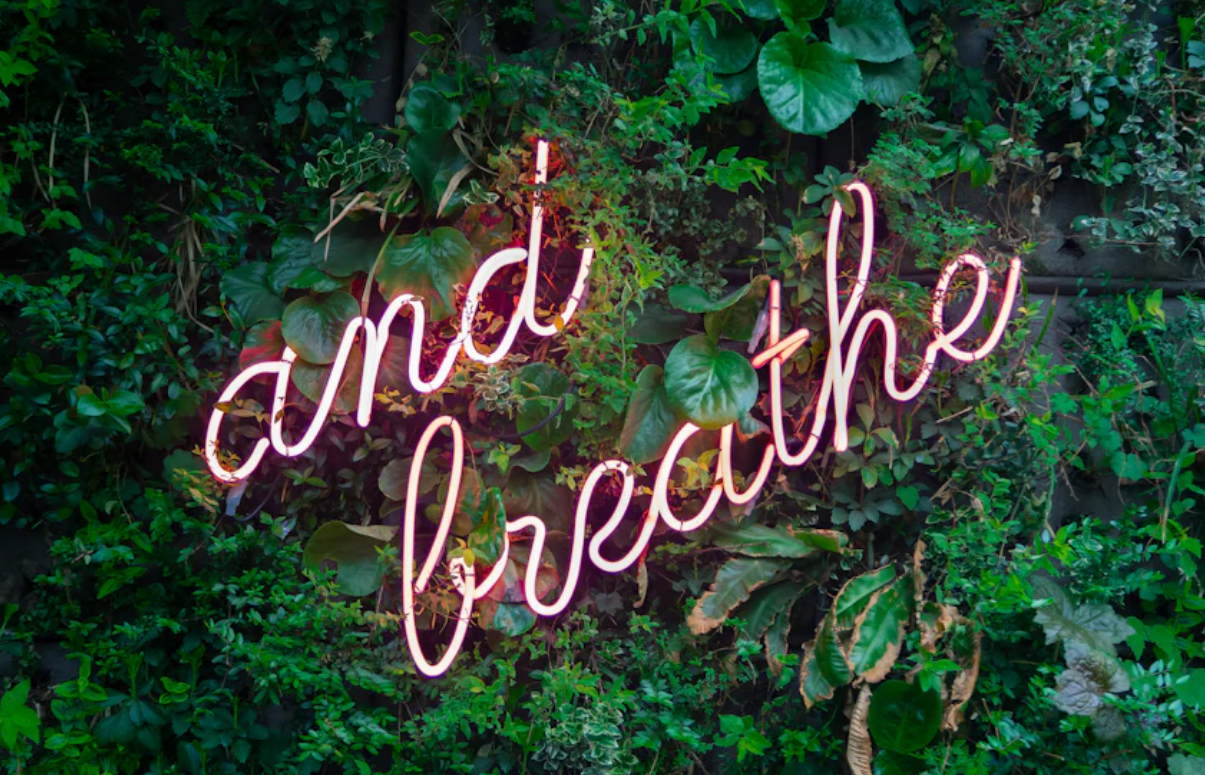 Products That Assist Us In Calming From Within